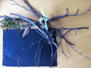 Hayalet Ormani Malzemeler