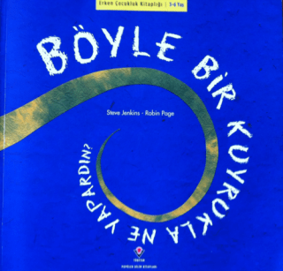 BoyleBirKuyrukla Kapak