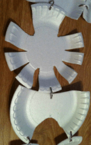 Kaburga ve legen kemigi